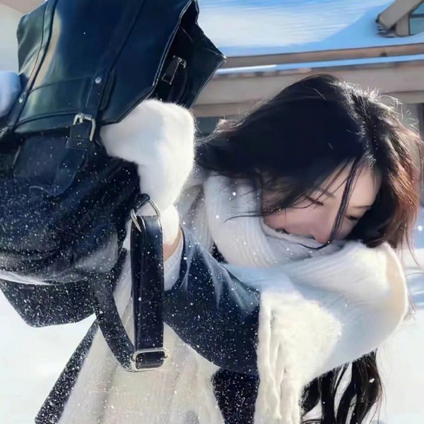 新女婿时代